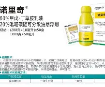 雷速APP-关于诺里奇城客场战胜对手，壮大气魄的信息