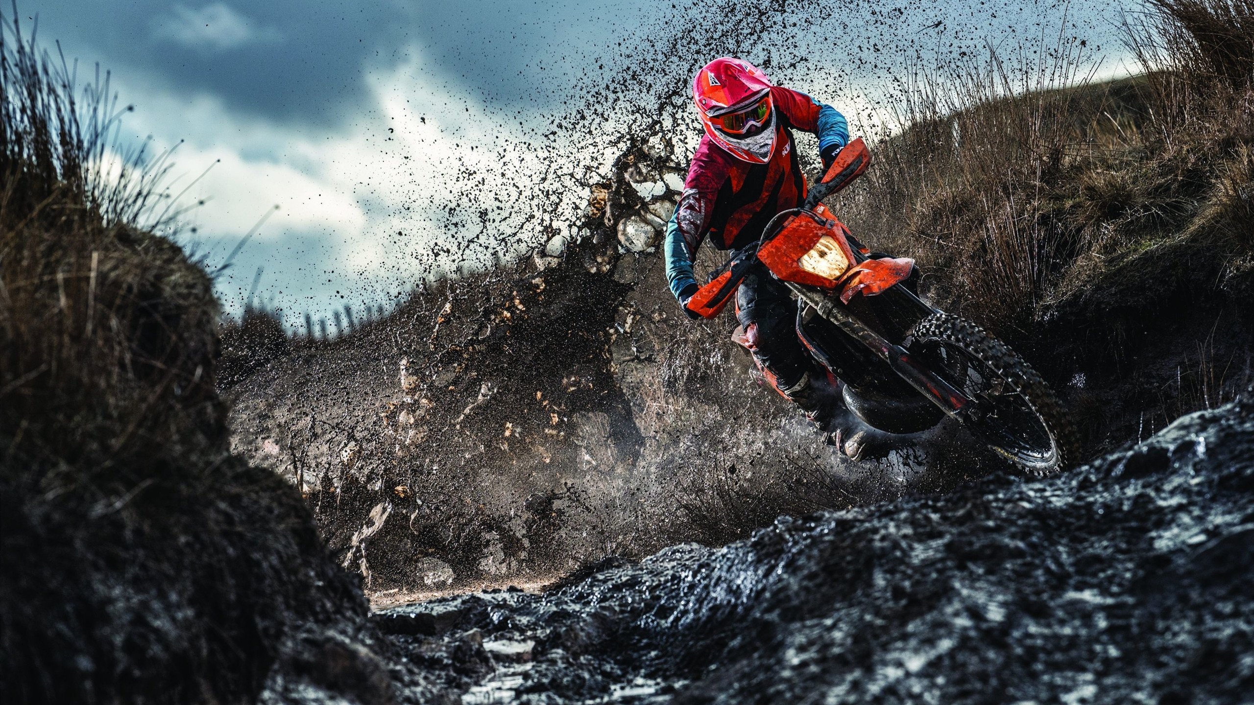 赛道上的双重奏鸣,红牛二队战术致胜,塞恩斯再破极限